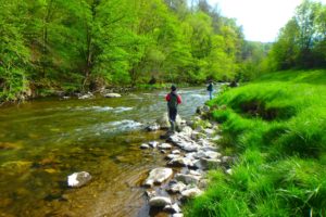 moniteur guide pêche nive des aldudes