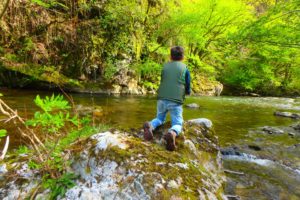 stage pêche truite nive des aldudes