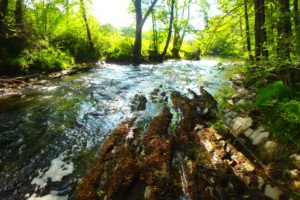 stage pêche nymphe au fil nivelle