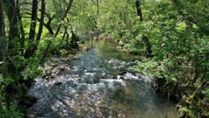 Le Lauhribar guide pêche pays basque