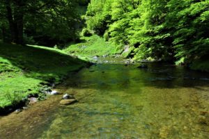 L'irati en aval des chalet pedro pays basque