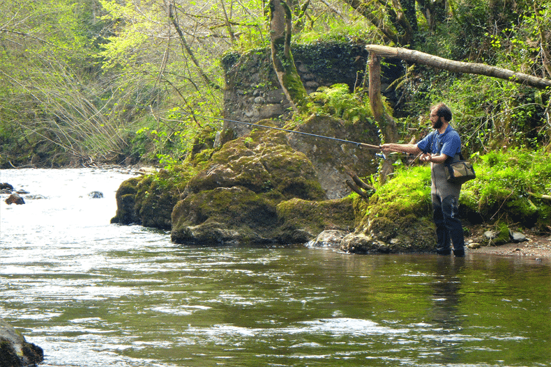 stage pêche au toc nive arnéguy