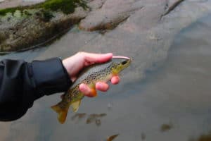 guide pêche glenn made in river