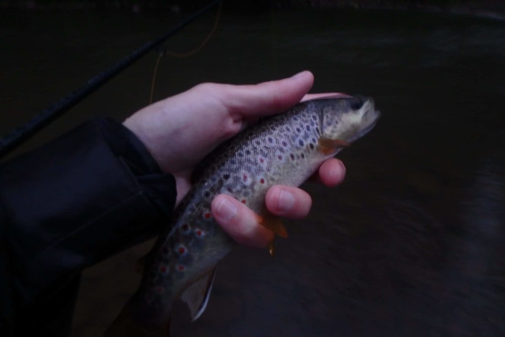 pêche mouche navarre baztan bidassoa