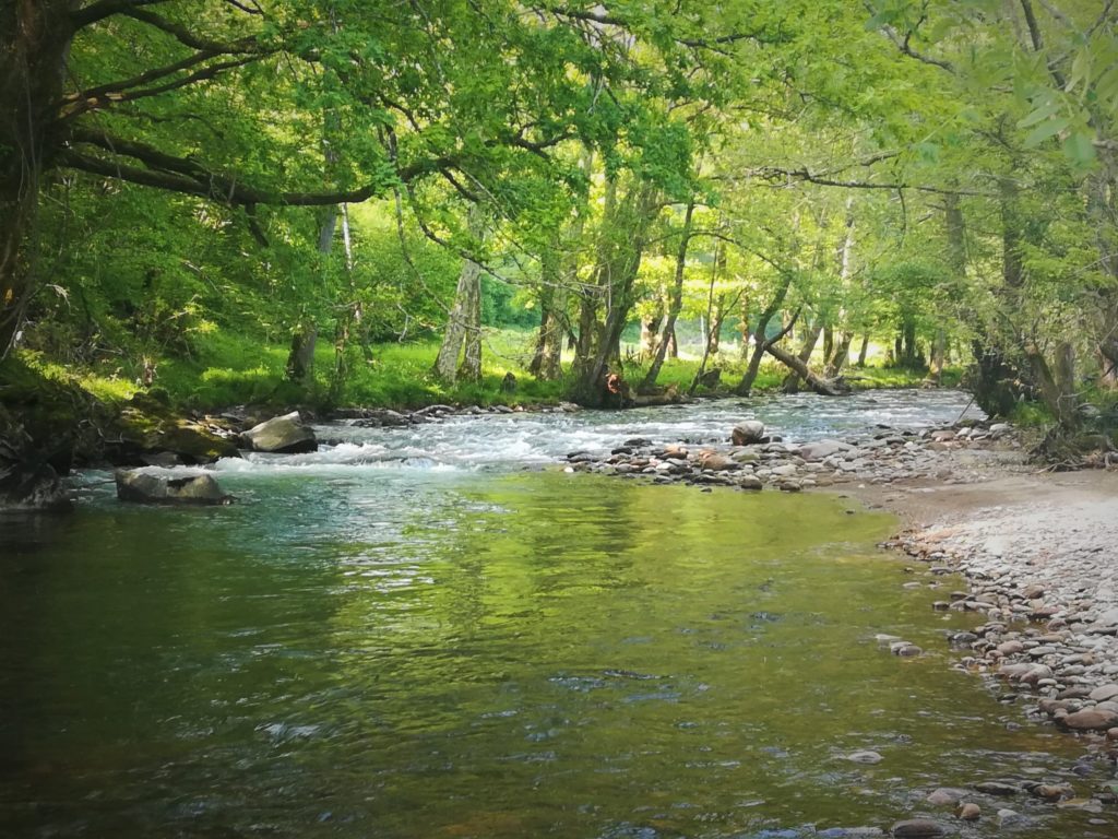 Le Baztan, rivière à truite de Navarre